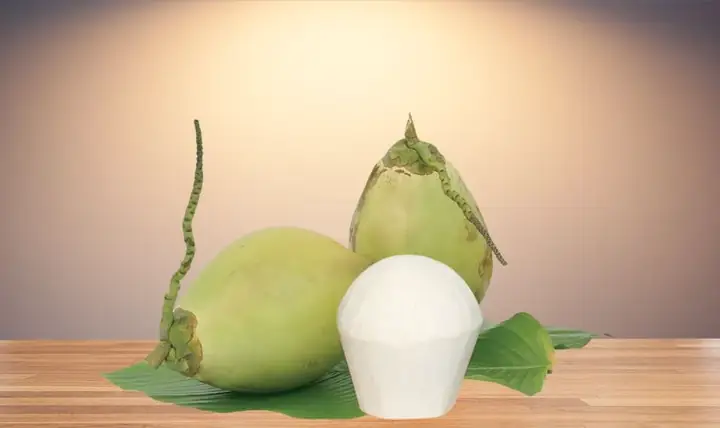 Quả Dừa Quả Dừa