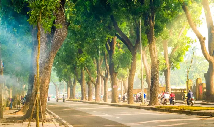 Phố Hoàng Diệu – Hơi Thở Lịch Sử Giữa Lòng Hà Nội