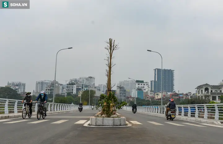 Người Dùng Muốn Tìm Kiếm Những Hình Ảnh Đẹp Về Đường Phố Hà Nội Trên Google. Người Dùng Muốn Tìm Kiếm Những Hình Ảnh Đẹp Về Đường Phố Hà Nội Trên Google.