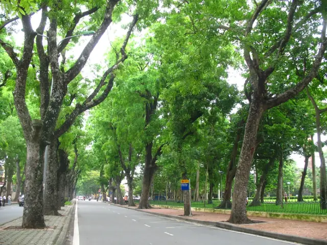 Người Dùng Muốn Tìm Kiếm Những Hình Ảnh Đẹp Về Đường Phố Hà Nội Trên Google. Người Dùng Muốn Tìm Kiếm Những Hình Ảnh Đẹp Về Đường Phố Hà Nội Trên Google.