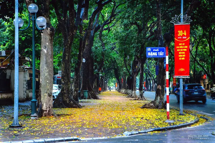 Người Dùng Muốn Tìm Kiếm Những Hình Ảnh Đẹp Về Đường Phố Hà Nội Trên Google. Người Dùng Muốn Tìm Kiếm Những Hình Ảnh Đẹp Về Đường Phố Hà Nội Trên Google.