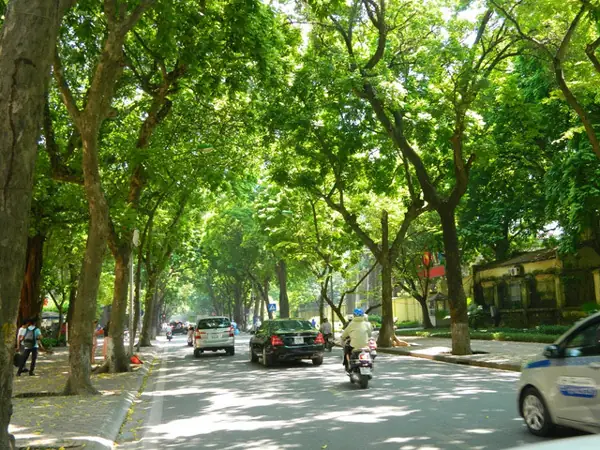 Người Dùng Muốn Tìm Kiếm Những Hình Ảnh Đẹp Về Đường Phố Hà Nội Trên Google. Người Dùng Muốn Tìm Kiếm Những Hình Ảnh Đẹp Về Đường Phố Hà Nội Trên Google.
