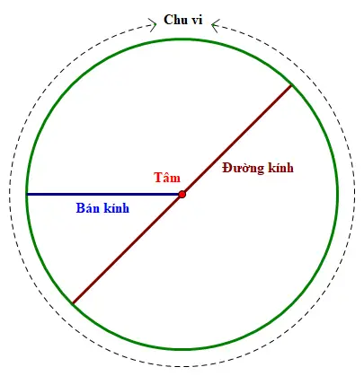 Bán Kính Trong Tiếng Anh Là Gì Bán Kính Trong Tiếng Anh Là Gì