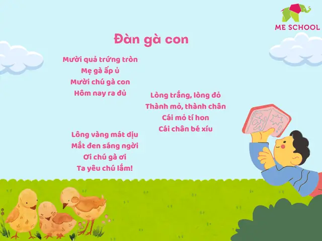 Đàn Gà Con Đàn Gà Con