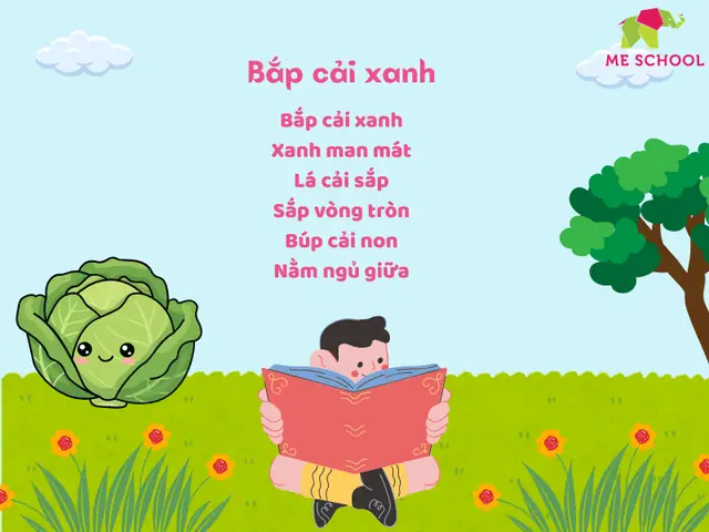 Bắp Cải Xanh Bắp Cải Xanh