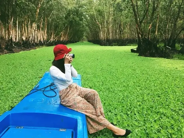 Rừng Tràm Trà Sư Rừng Tràm Trà Sư