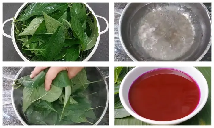 Cách Lấy Màu Từ Lá Cẩm Tươi Cách Lấy Màu Từ Lá Cẩm Tươi
