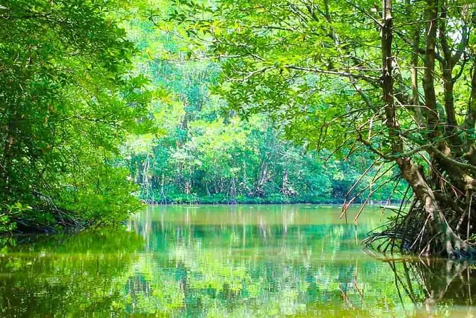 Cần Giờ Tp.hcm: Tiềm Năng Phát Triển Thành Đô Thị Biển Đẳng Cấp
