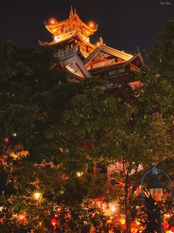 Hướng Dẫn Di Chuyển Đến Chùa Pháp Hoa Lê Văn Sỹ