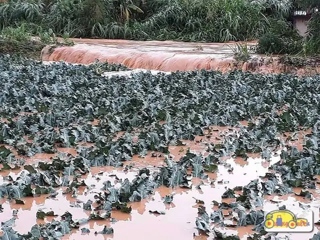 Đà Lạt Chìm Trong Biển Nước Sau Mưa Bão
