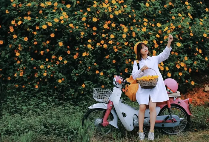Đi Đà Lạt Vào Mùa Thu Đông Tháng 10 Đến Tháng 12 Đi Đà Lạt Vào Mùa Thu Đông Tháng 10 Đến Tháng 12