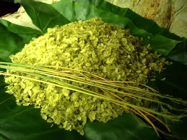 Món Cốm Vòng Nổi Tiếng Món Cốm Vòng Nổi Tiếng