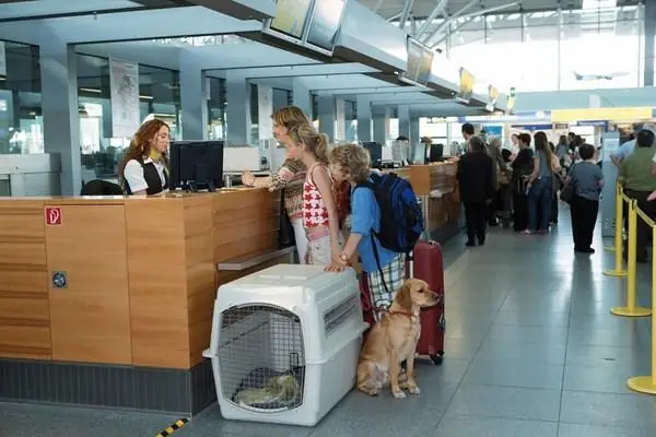 Đến Với Vietjet Giá Rẻ, Đi Máy Bay Có Được Mang Theo Chó Đi Cùng Đến Với Vietjet Giá Rẻ, Đi Máy Bay Có Được Mang Theo Chó Đi Cùng