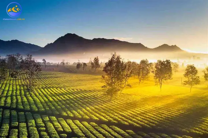 Đặc Điểm Khí Hậu Tây Nguyên Đặc Điểm Khí Hậu Tây Nguyên