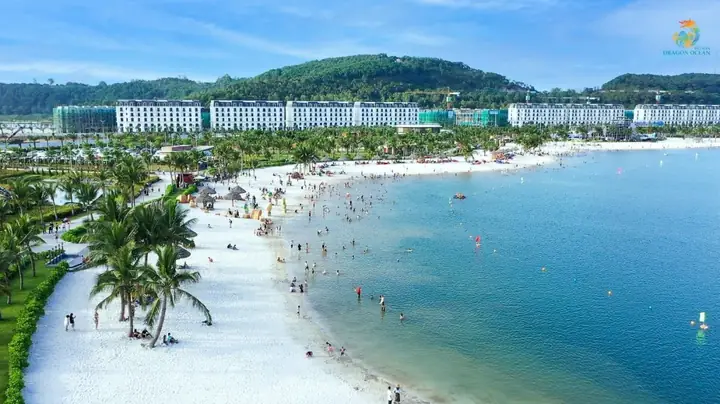 Check-in Đồi Rồng Check-in Đồi Rồng