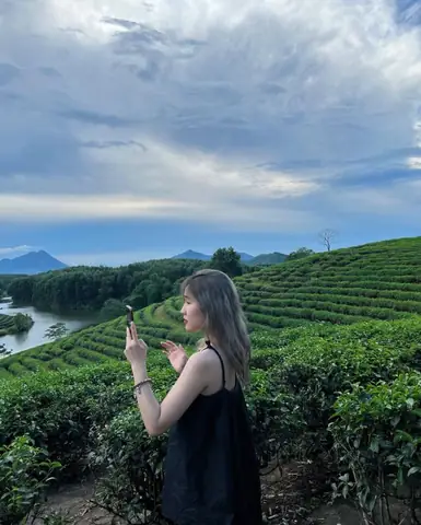 Nên Du Lịch Đồi Chè Thanh Chương Mùa Nào?