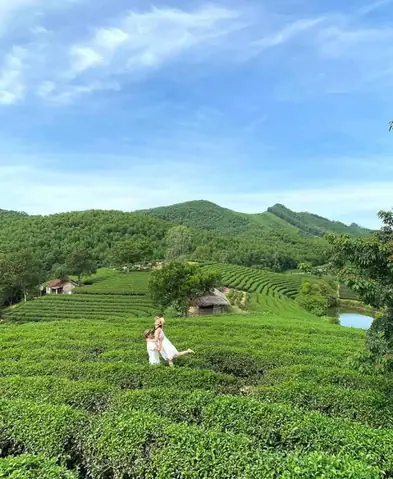 Đồi Chè Thanh Chương Nghệ An Thiên Đường Chill Tuyệt Đẹp