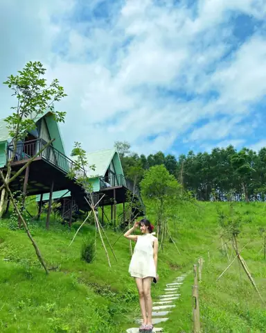 Lưu Trú Ở Đồi Chè Thanh Chương