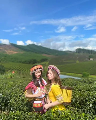 Trải Nghiệm Khác