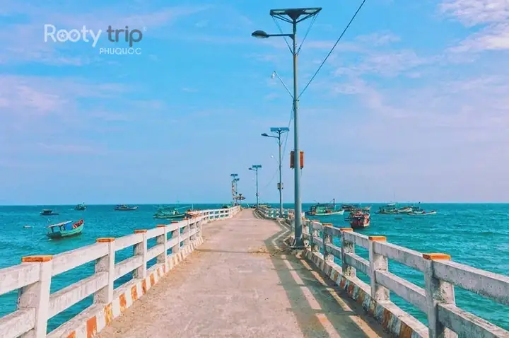 Cầu Cảng Bãi Nhà – Hòa Mình Vào Nhịp Sống Làng Chài
