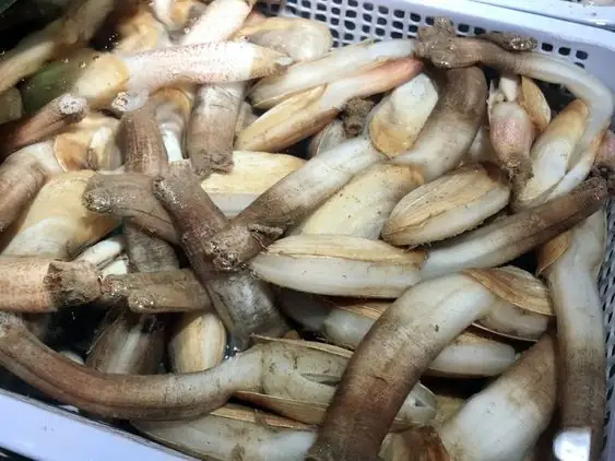 Hải Sản Quảng Ninh Tại Hà Nội Hải Sản Quảng Ninh Tại Hà Nội