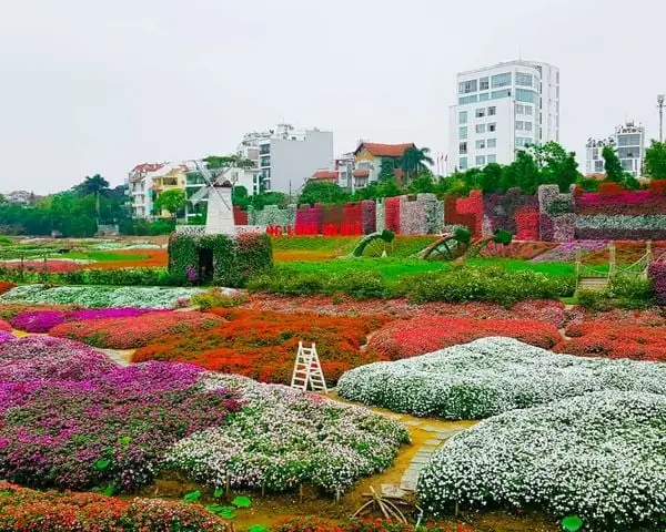 Thung Lũng Hoa Hồ Tây - Địa Điểm Check In Nổi Tiếng