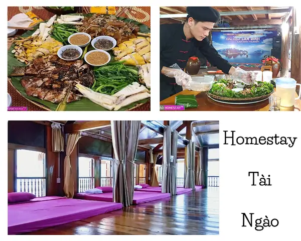 Homestay Tài Ngào Homestay Tài Ngào