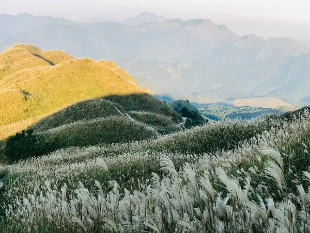 Tháng 10, 11 – Mùa Thu, Mùa Hoa Cỏ Lau Tháng 10, 11 – Mùa Thu, Mùa Hoa Cỏ Lau