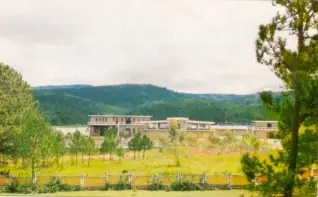 Suoi Vang Suoi Vang