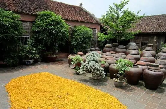 Làng Cổ Đường Lâm Phát Triển Du Lịch