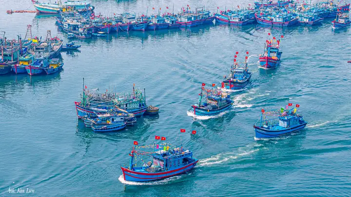 Lễ Hội Cầu Ngư Đà Nẵng