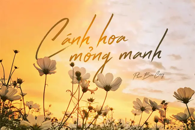 Lời Bài Hát Mong Cha Mẹ An Vui