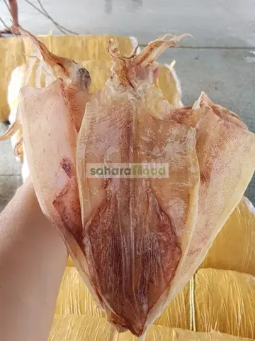 Làm Sao Để Mực Khô Được Cho Lên Máy Bay Làm Sao Để Mực Khô Được Cho Lên Máy Bay
