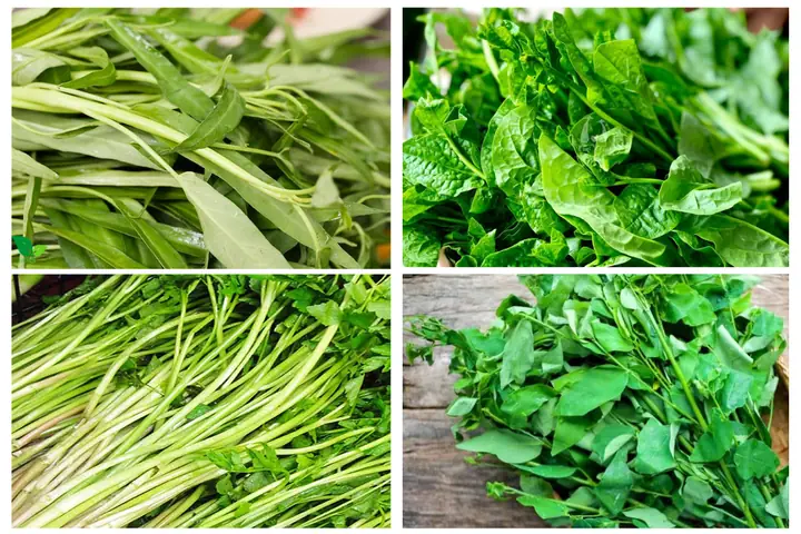 Gọi Tên Các Loại Rau Thuần Việt Trong Tiếng Anh