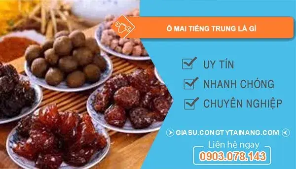 Ô Mai Trong Tiếng Trung: Khái Niệm Và Các Cách Gọi Phổ Biến