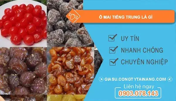 Ô Mai Trong Văn Hóa Ẩm Thực Trung Quốc: Khác Biệt Và Giá Trị