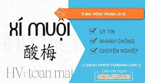 Ô Mai Tiếng Trung Là Gì? Khám Phá Tên Gọi & Văn Hóa Ẩm Thực Phát Âm酸梅(suān Méi)