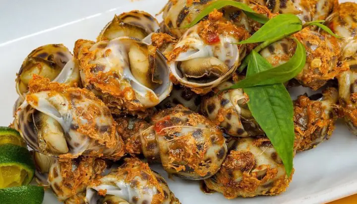 Ốc Vi Sài Gòn Gia Ngư Ngon Có Tiếng Ở Hà Nội Ốc Vi Sài Gòn Gia Ngư Ngon Có Tiếng Ở Hà Nội