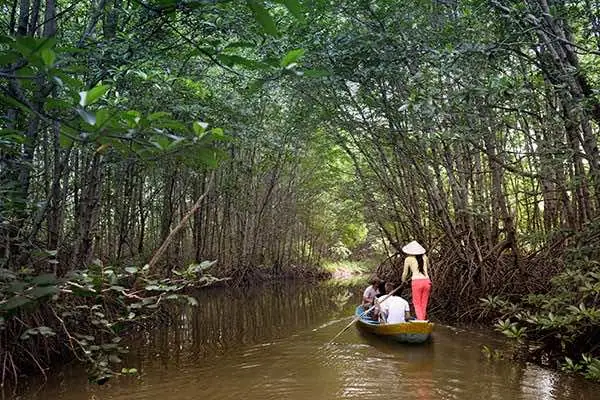 Can Gio Mangrove Forest Can Gio Mangrove Forest