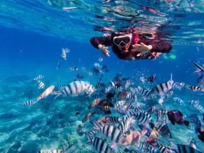 Explore North And South Of Vietnam In 7 Days Explore North And South Of Vietnam In 7 Days