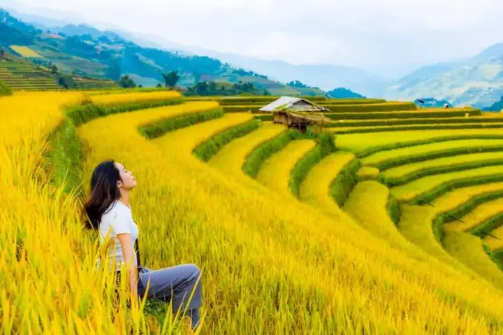 Tháng 4 Nên Đi Du Lịch Ở Đâu Miền Bắc: Khám Phá Địa Điểm Lý Tưởng
