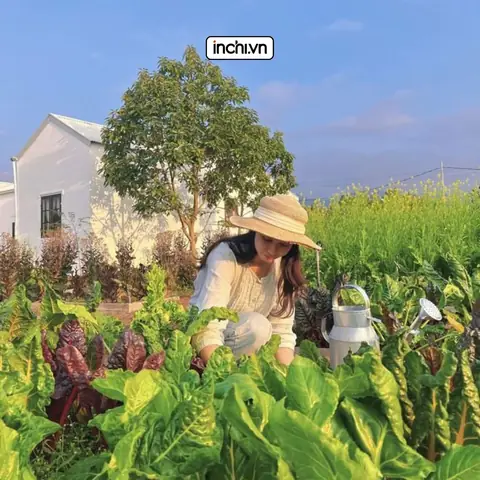Mẹ Yêu Thích Thiên Nhiên