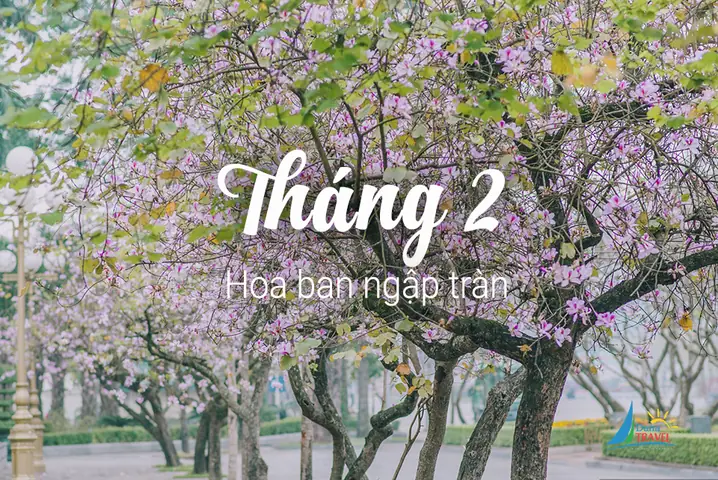 Tháng 10 Mùa Hoa Gì Ở Hà Nội