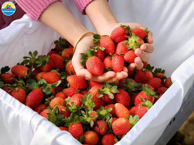 Đặc Sản Mùa Lạnh