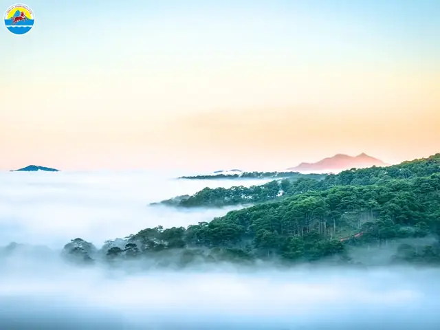 Tháng 12 Có Nên Đi Đà Lạt Không?