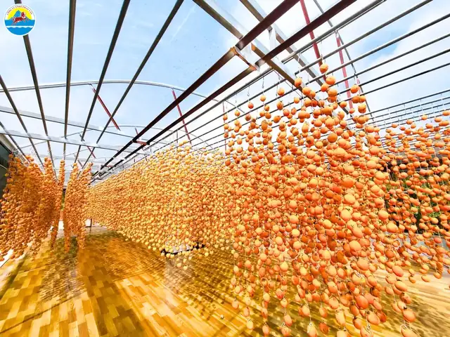 Vườn Hồng Treo Gió