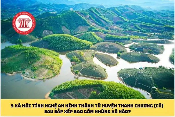 Xã Mới Của Tỉnh Nghệ An Hình Thành Từ Huyện Thanh Chương (cũ) Sau Sắp Xếp Bao Gồm Những Xã Nào? Xã Mới Của Tỉnh Nghệ An Hình Thành Từ Huyện Thanh Chương (cũ) Sau Sắp Xếp Bao Gồm Những Xã Nào?