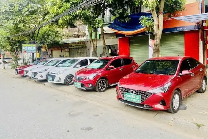 Công Ty Tnhh Du Lịch & Tm Bảo Huy Công Ty Tnhh Du Lịch & Tm Bảo Huy