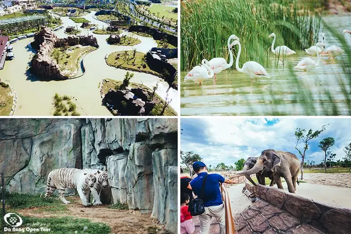 Lịch Trình Chi Tiết Tour Vinpearl Hội An 1 Ngày 2025 Lịch Trình Chi Tiết Tour Vinpearl Hội An 1 Ngày 2025