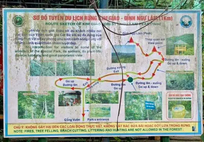Trải Nghiệm Nổi Bật Tại Vườn Quốc Gia Cát Bà Trải Nghiệm Nổi Bật Tại Vườn Quốc Gia Cát Bà